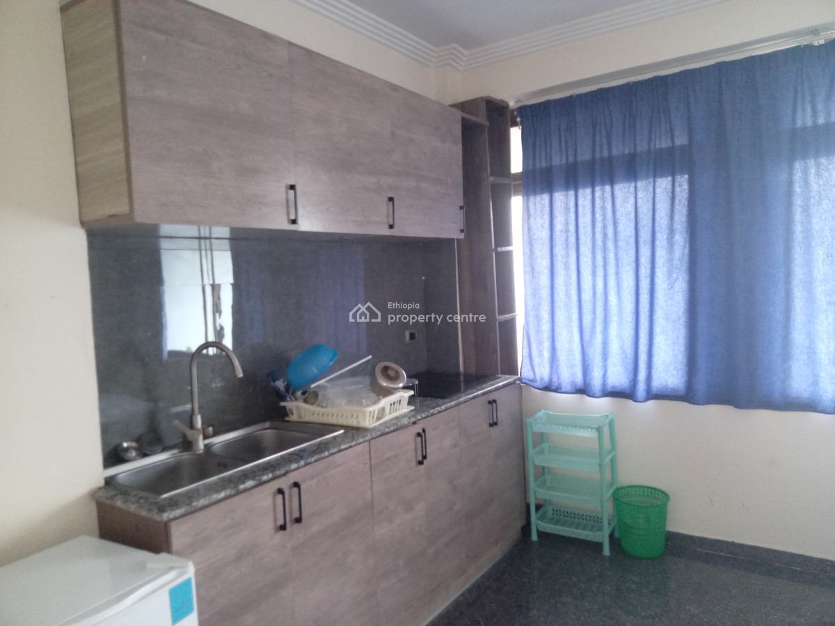 Sarbet 1 Bedroom Furnished Apartment ,near Abo and Mekanisa, Lideta, Addis Ababa, Apartment for Rent