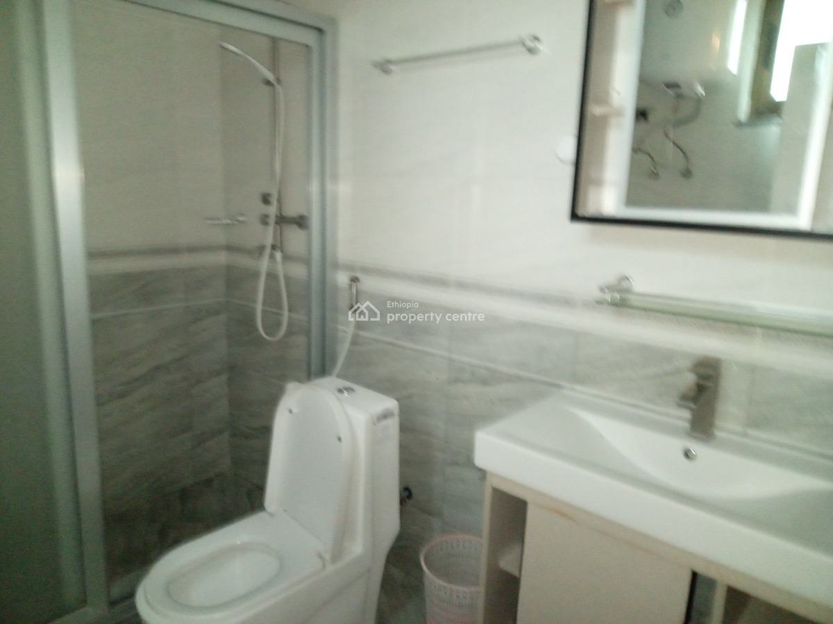 Sarbet 1 Bedroom Furnished Apartment ,near Abo and Mekanisa, Lideta, Addis Ababa, Apartment for Rent