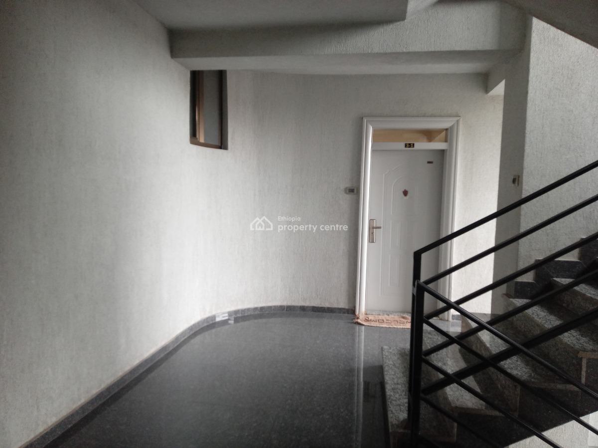 Sarbet 1 Bedroom Furnished Apartment ,near Abo and Mekanisa, Lideta, Addis Ababa, Apartment for Rent