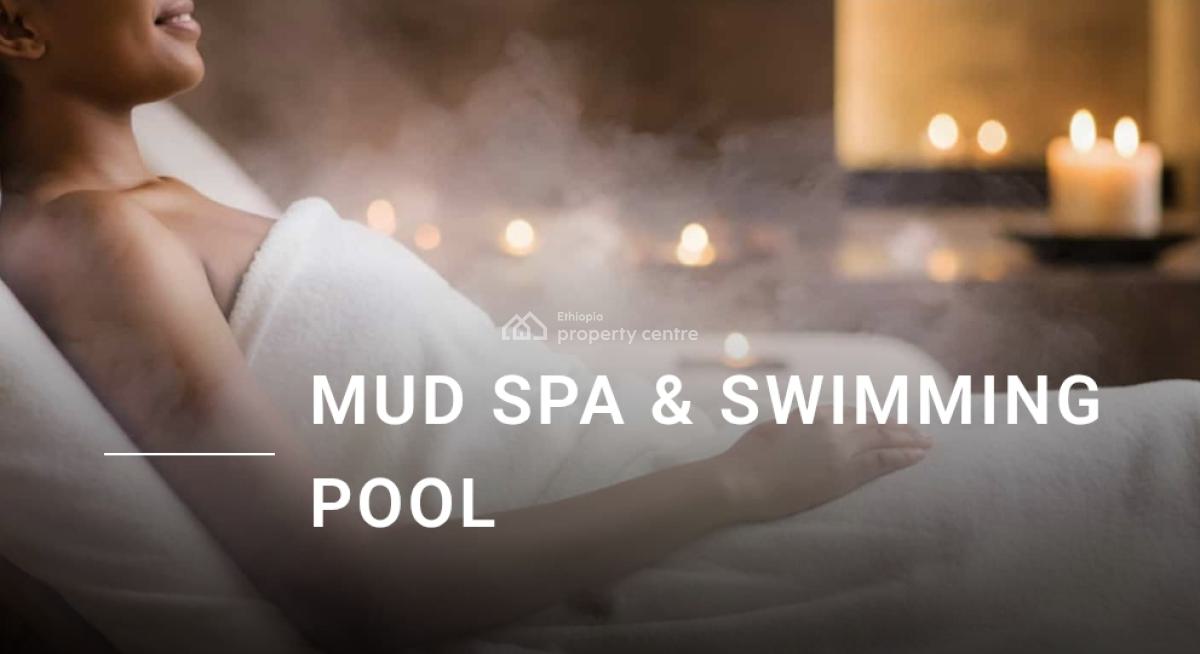 Luxury 3 Bedroom Apartment with Excellent Quality, Filwuha / Amibara Properties, Arada, Addis Ababa, Apartment for Sale