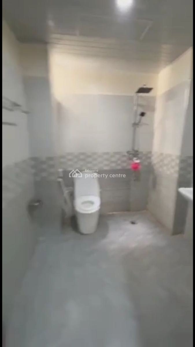 a Beautiful Furnished 3 Bedrooms Apartment  @ Figa, Figa, Bole, Addis Ababa, Apartment for Rent