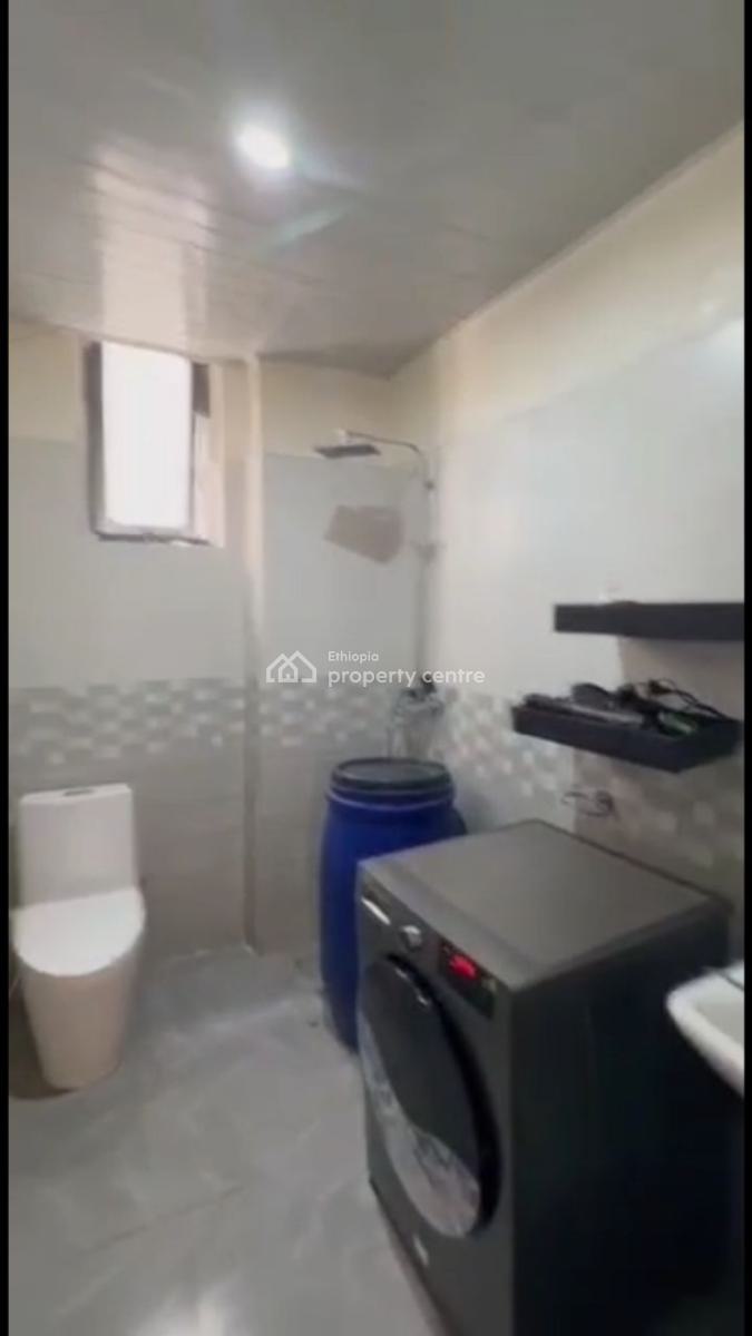 a Beautiful Furnished 3 Bedrooms Apartment  @ Figa, Figa, Bole, Addis Ababa, Apartment for Rent