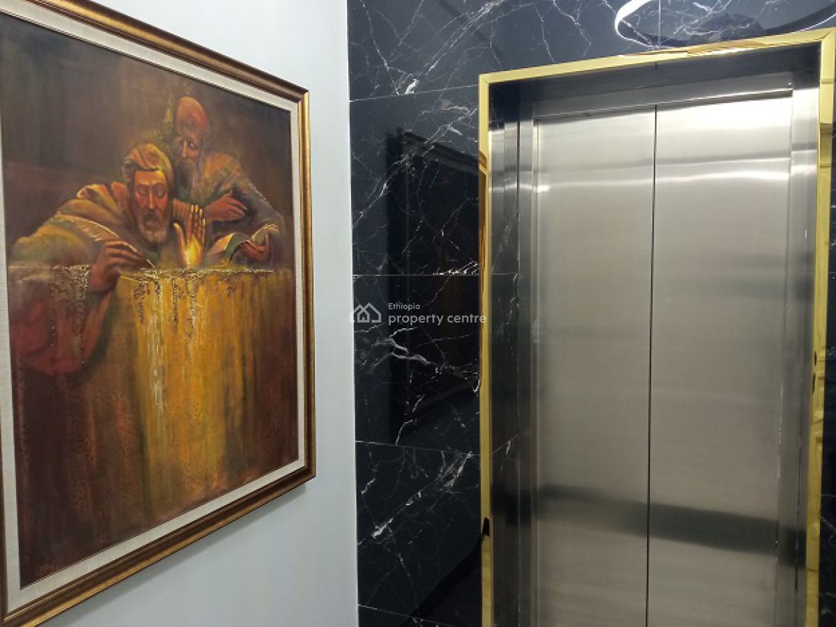 Very Bright, New, High Quality and Fully Furnished 3bd Apartment!, Bole, Addis Ababa, Apartment for Rent