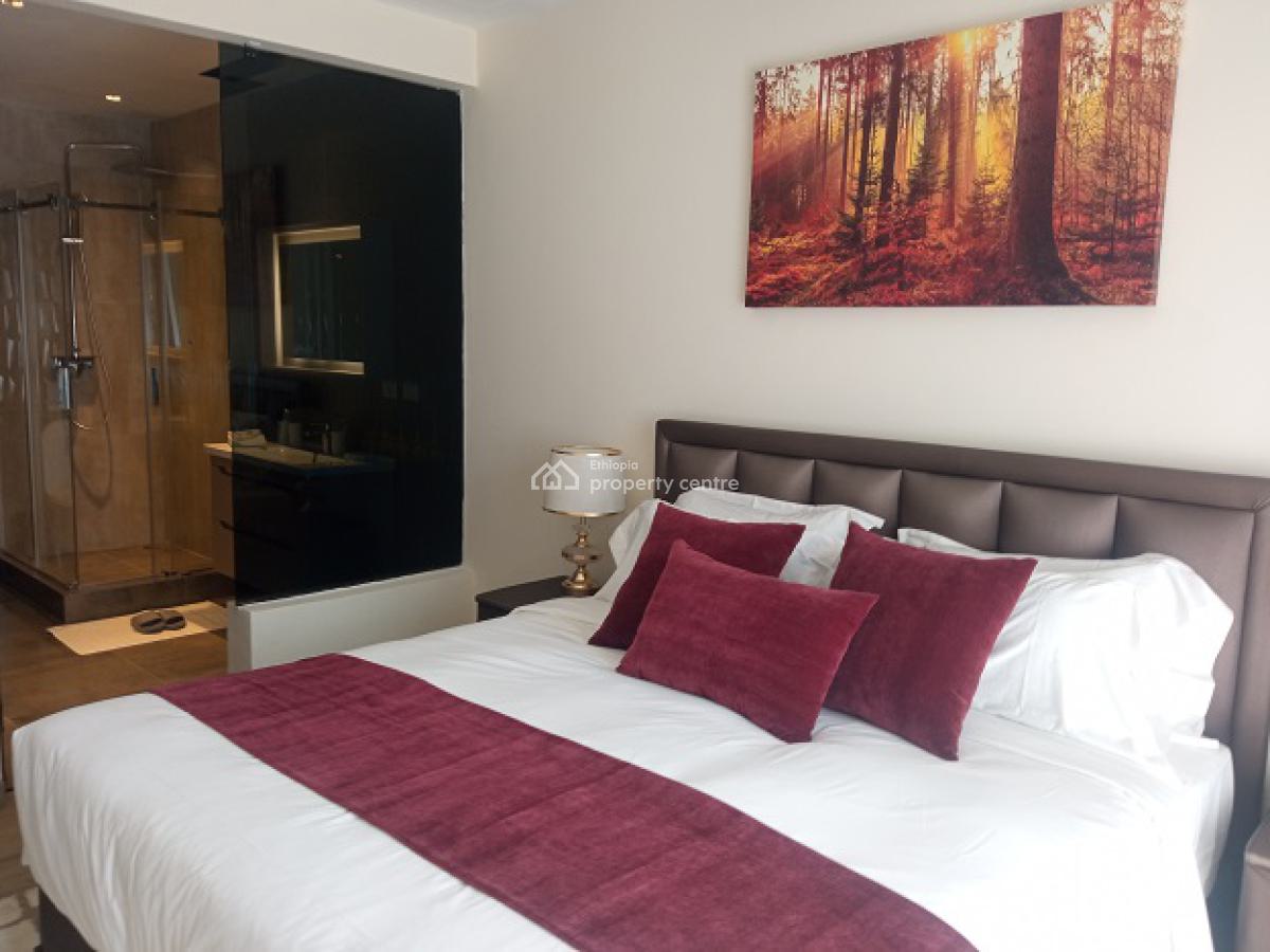 Super Cute! Fully Furnished and Highly Secured 3 Bd Apartment., Bole, Addis Ababa, Apartment for Rent