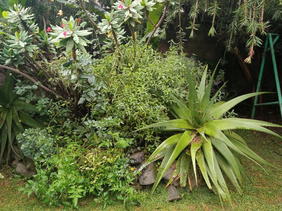 a Nice 3bd House with Beautiful Garden, Ayat., Addis Ketema, Addis Ababa, House for Rent
