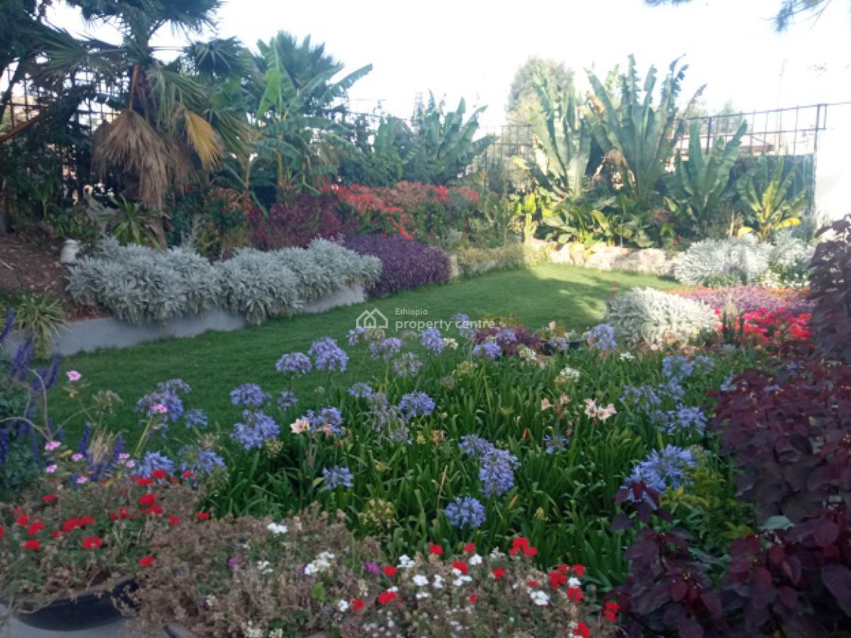 Bright and Fully Furnished 2bd Apartment + Great Garden!, Bole, Addis Ababa, Apartment for Rent