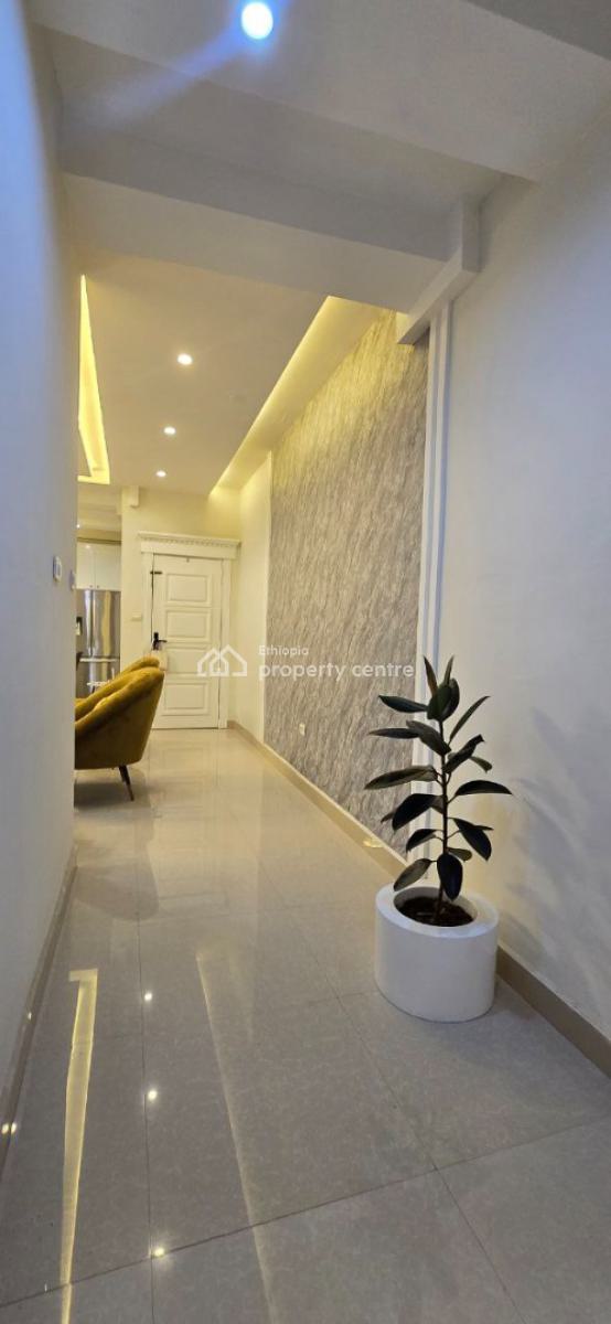Furnished 3 Bedrooms Apartment @ Figa, Figa, Bole, Addis Ababa, Apartment for Rent