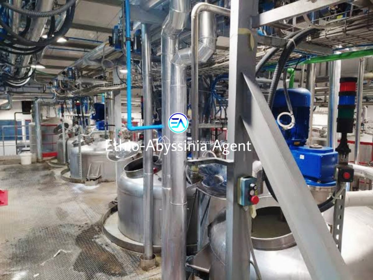 የሳሙና እና ላርጎ  ፋብሪካ ሽያጭ (soap and Detergent Factory)  Soap and Detergent, Kality, Akaky Kaliti, Addis Ababa, Factory for Sale