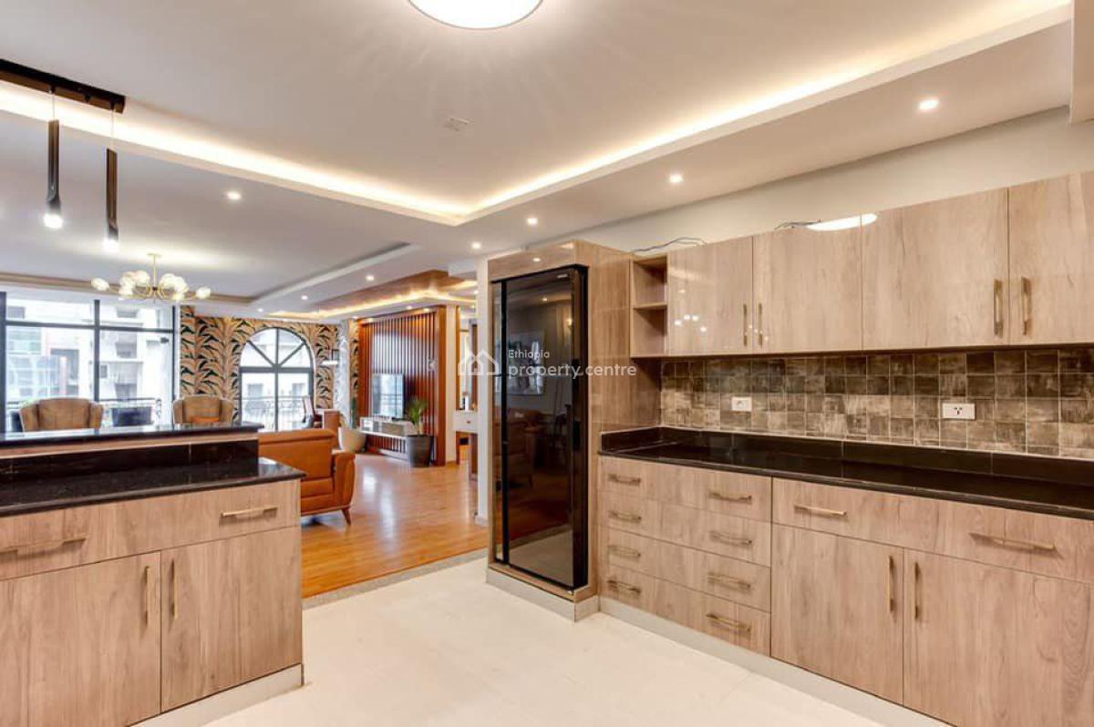 Afully Furnirhed Homey Apartment, Bole, Bole, Addis Ababa, Apartment for Rent