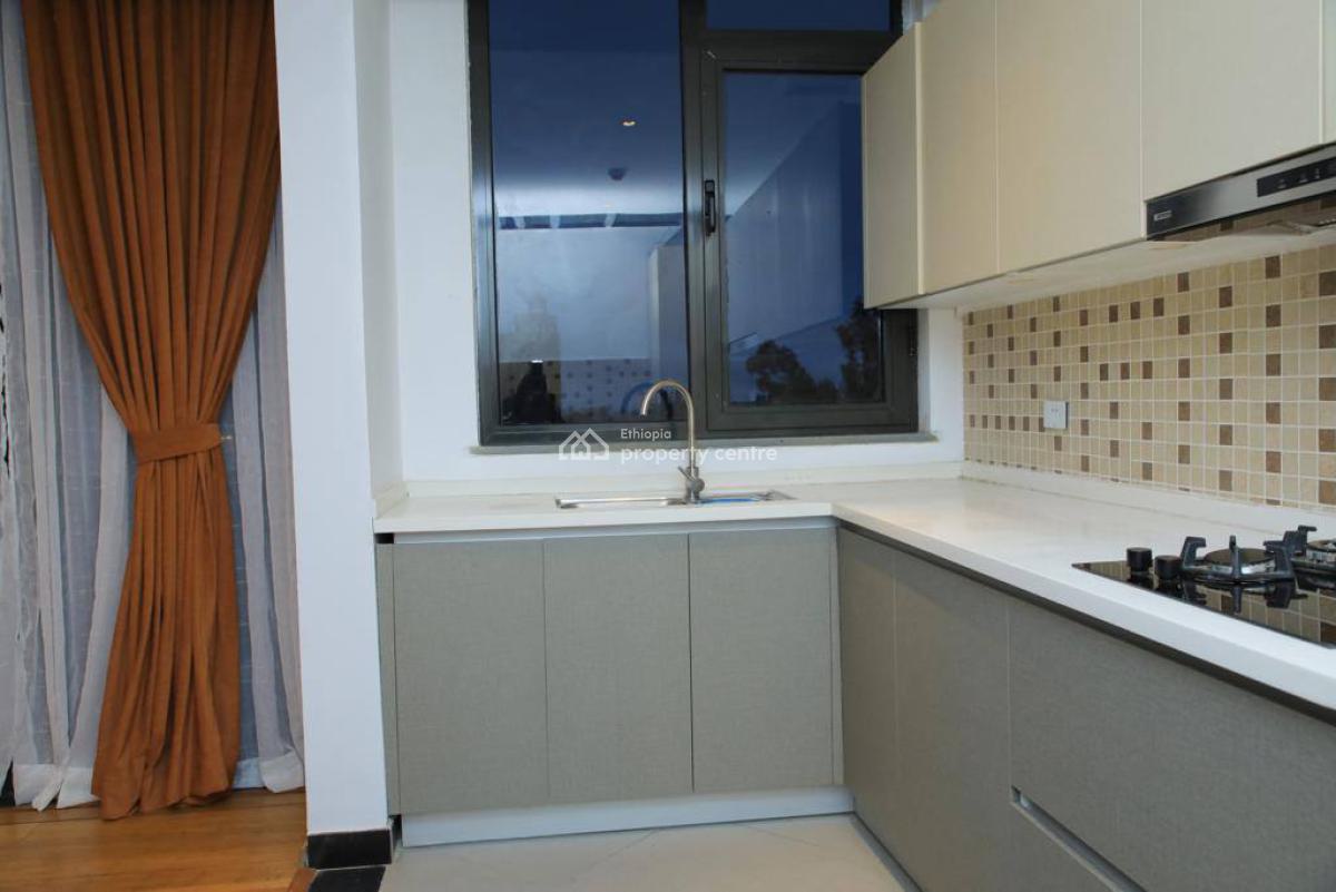 Luxury Fully Furnished Apartment in Old Airport Area, Old Airport, Nifas Silk-lafto, Addis Ababa, Apartment for Rent