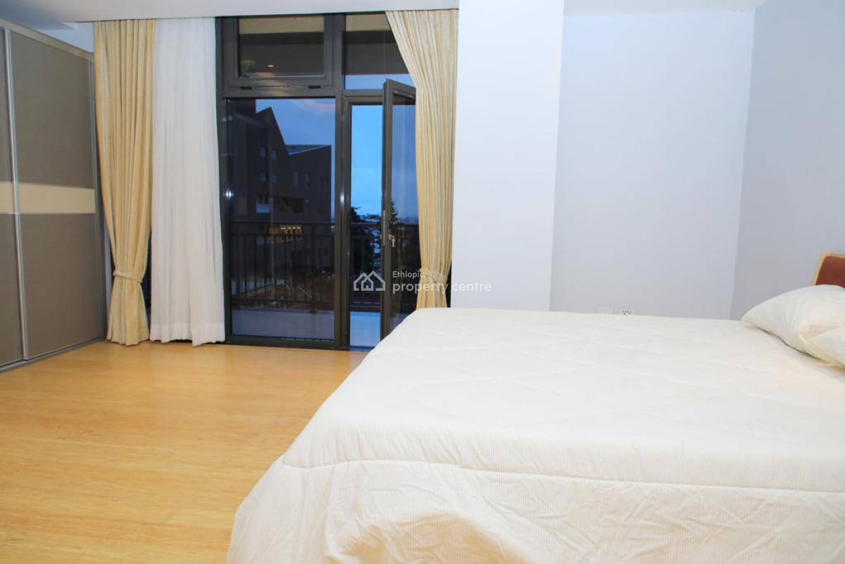 Luxury Fully Furnished Apartment in Old Airport Area, Old Airport, Nifas Silk-lafto, Addis Ababa, Apartment for Rent