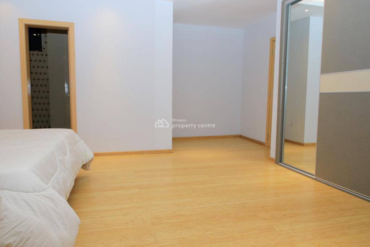 Luxury Fully Furnished Apartment in Old Airport Area, Old Airport, Nifas Silk-lafto, Addis Ababa, Apartment for Rent