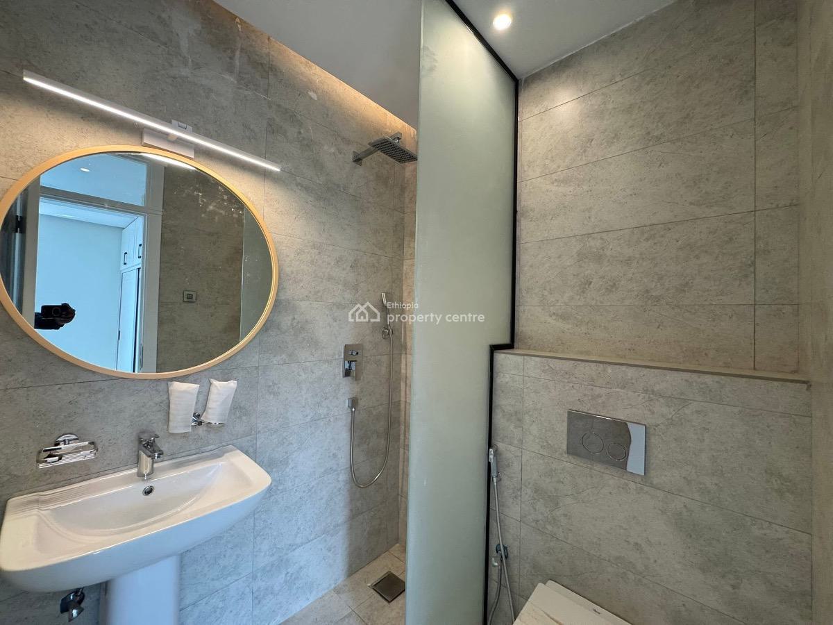 Brand New Modern Home, Old Airport, Nifas Silk-lafto, Addis Ababa, House for Rent