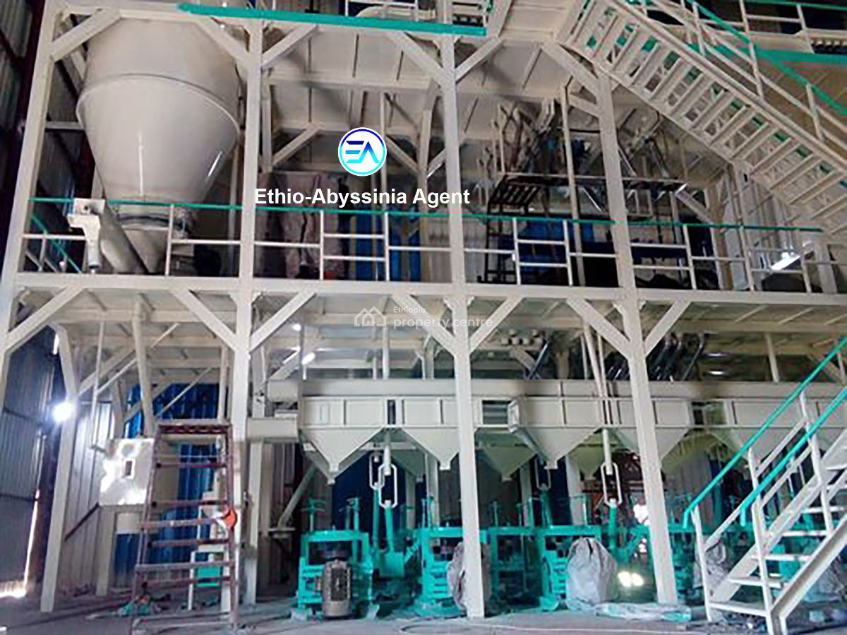 Flour Factory, Adama, Akaky Kaliti, Addis Ababa, Factory for Sale