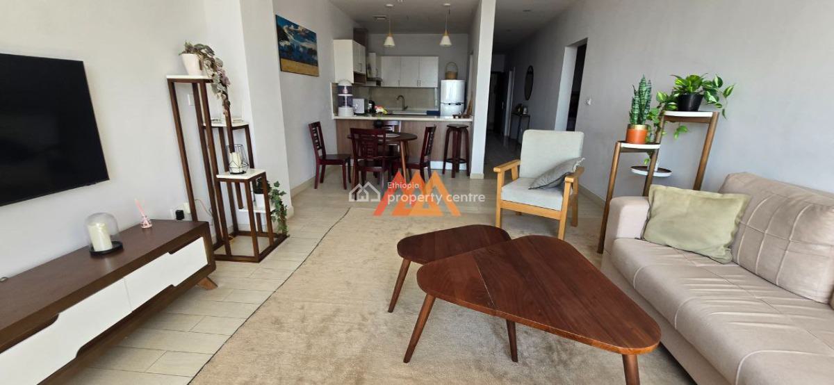 a Classy Furnished 2 Bedrooms Apartment @ Kazanchis, Kazanchis, Kirkos, Addis Ababa, Apartment for Rent