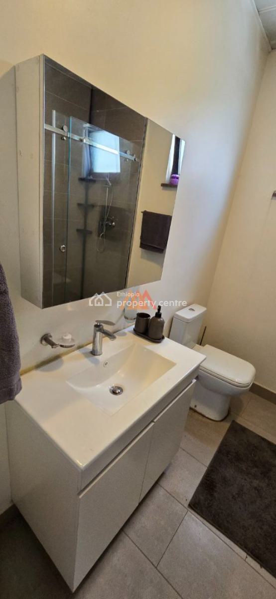 a Classy Furnished 2 Bedrooms Apartment @ Kazanchis, Kazanchis, Kirkos, Addis Ababa, Apartment for Rent