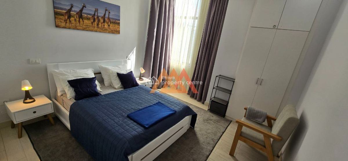 a Classy Furnished 2 Bedrooms Apartment @ Kazanchis, Kazanchis, Kirkos, Addis Ababa, Apartment for Rent