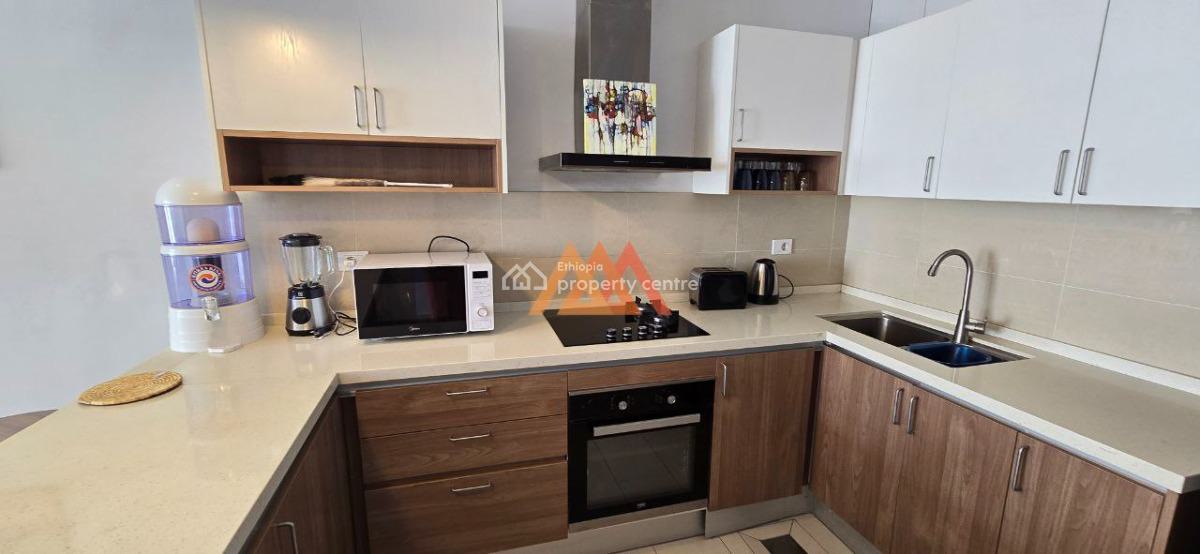 a Classy Furnished 2 Bedrooms Apartment @ Kazanchis, Kazanchis, Kirkos, Addis Ababa, Apartment for Rent