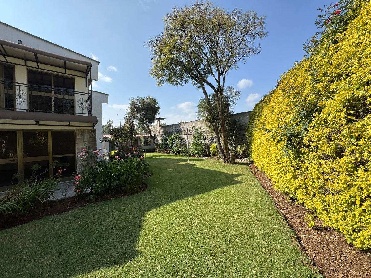 Bright 5 Bedroom Home, Bole, Bole, Addis Ababa, House for Rent