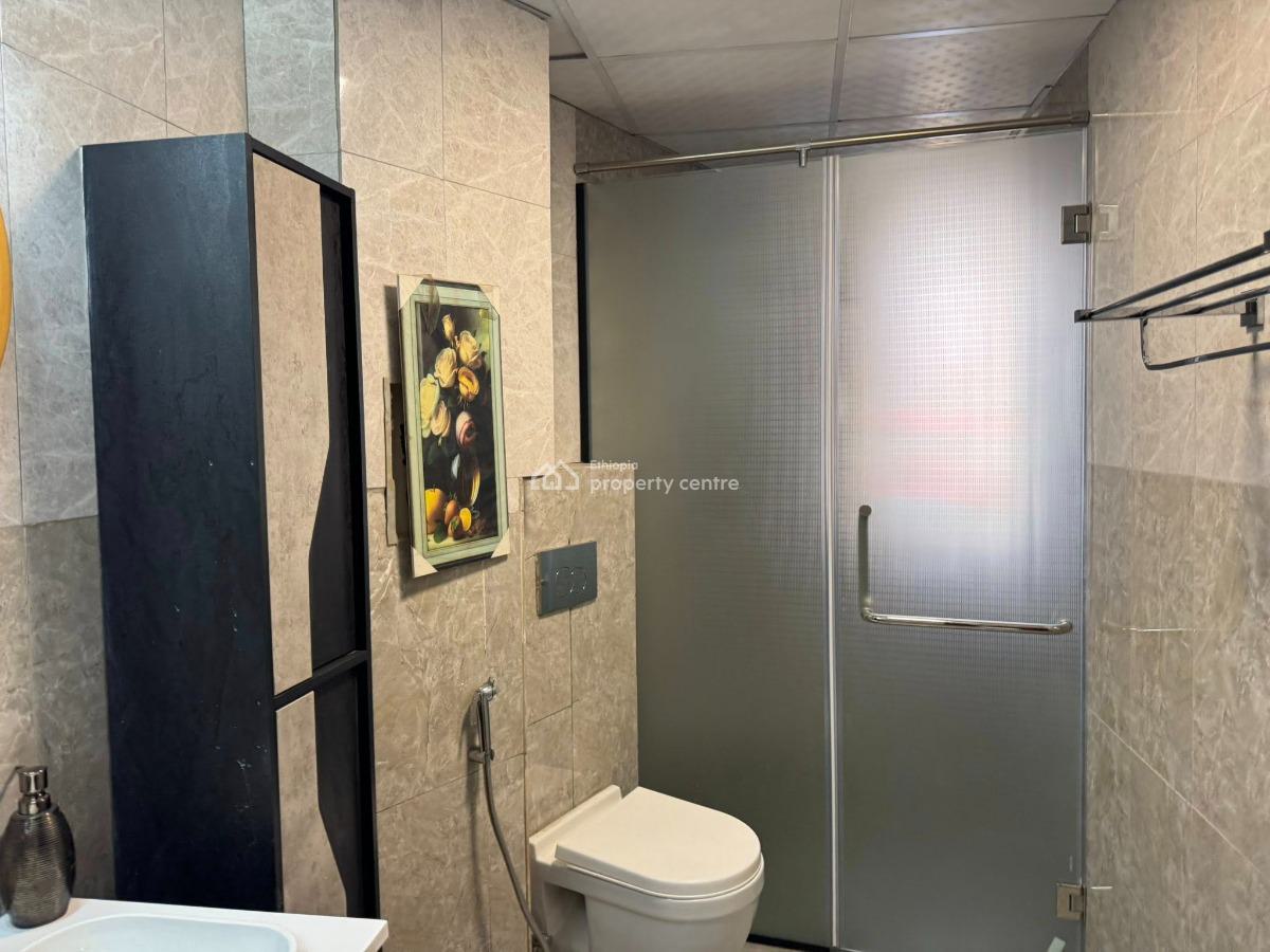 Beautiful 3 Bedroom Furnished  Apartment, Kirkos, Kirkos, Addis Ababa, Apartment for Rent