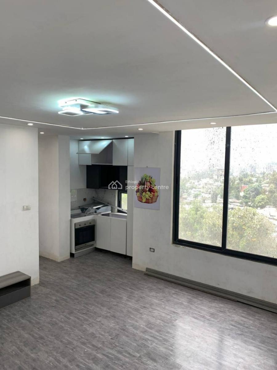 Fully Finished Onebedroom Apartment, Signal / Addis Ababa/ Ethiopia, Bole, Addis Ababa, Mini Flat for Sale