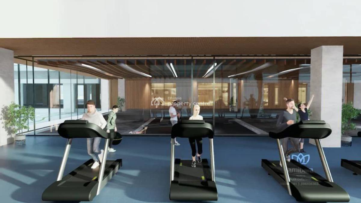 Real Estate House, Filwuha / Amibara Properties, Arada, Addis Ababa, Apartment for Sale