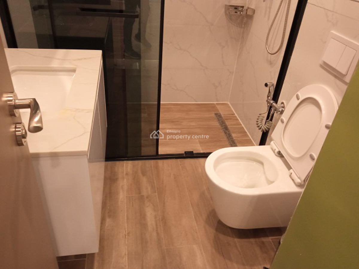 an Exclusive and a Rare Find 3 Bed Room Fully Furnished  Apartment!, Bole, Addis Ababa, Apartment for Rent