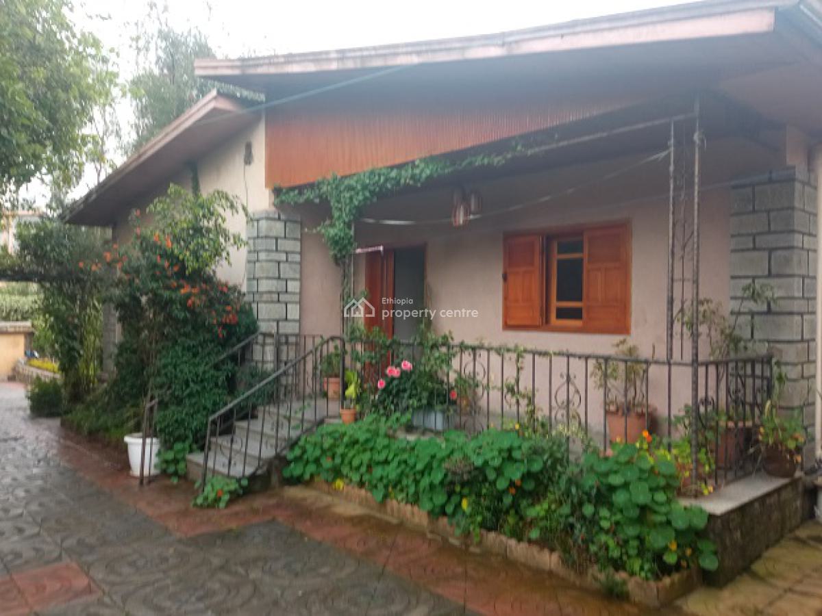 Old 2 Bed Room House + Great Garden!, Bole, Addis Ababa, House for Rent