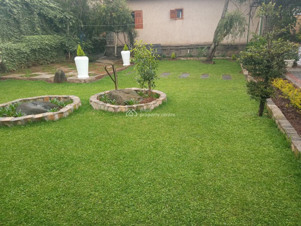 Old 2 Bed Room House + Great Garden!, Bole, Addis Ababa, House for Rent