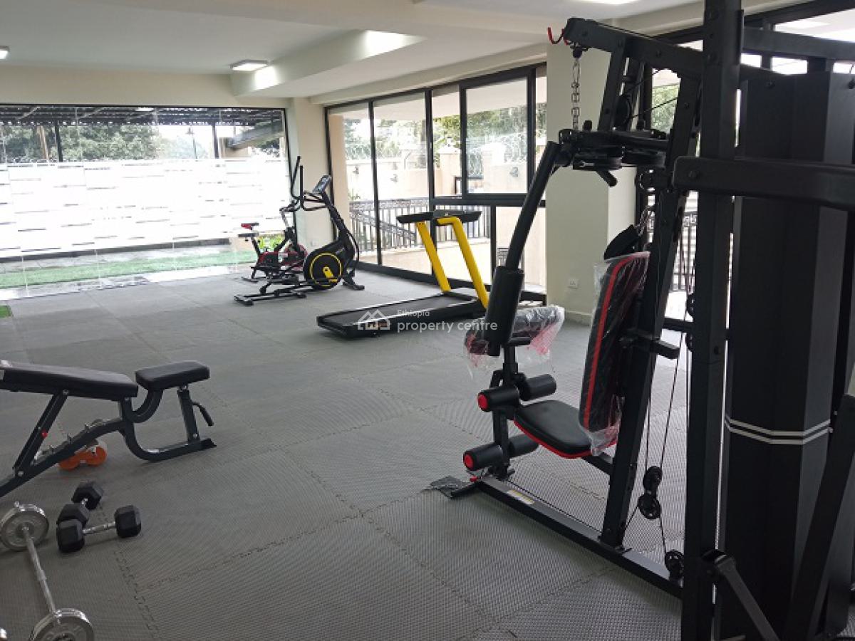 Exceptional and Exclusive 3bed Room Apartment, Nearby German School., Kazanchis, Addis Ababa, Apartment for Rent