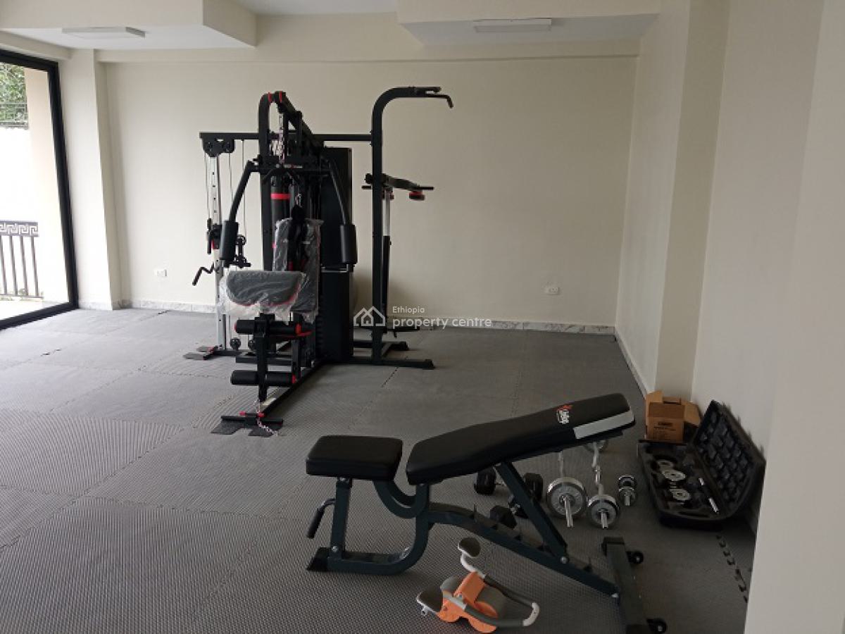 Exceptional and Exclusive 3bed Room Apartment, Nearby German School., Kazanchis, Addis Ababa, Apartment for Rent