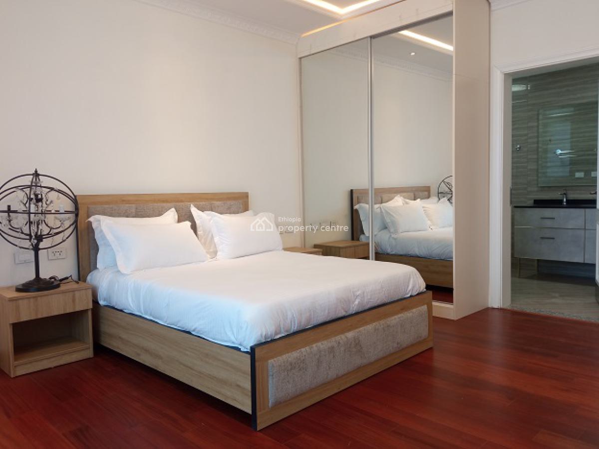 Highly Secured Area! Fully Furnished, Great 2 Bed Room Apartment., Bole, Addis Ababa, Apartment for Rent