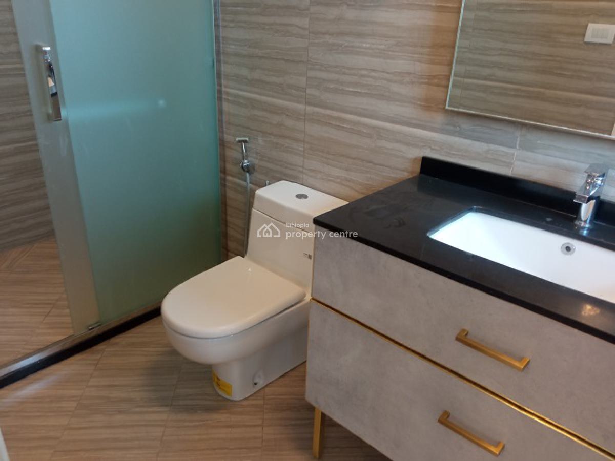 Highly Secured Area! Fully Furnished, Great 2 Bed Room Apartment., Bole, Addis Ababa, Apartment for Rent