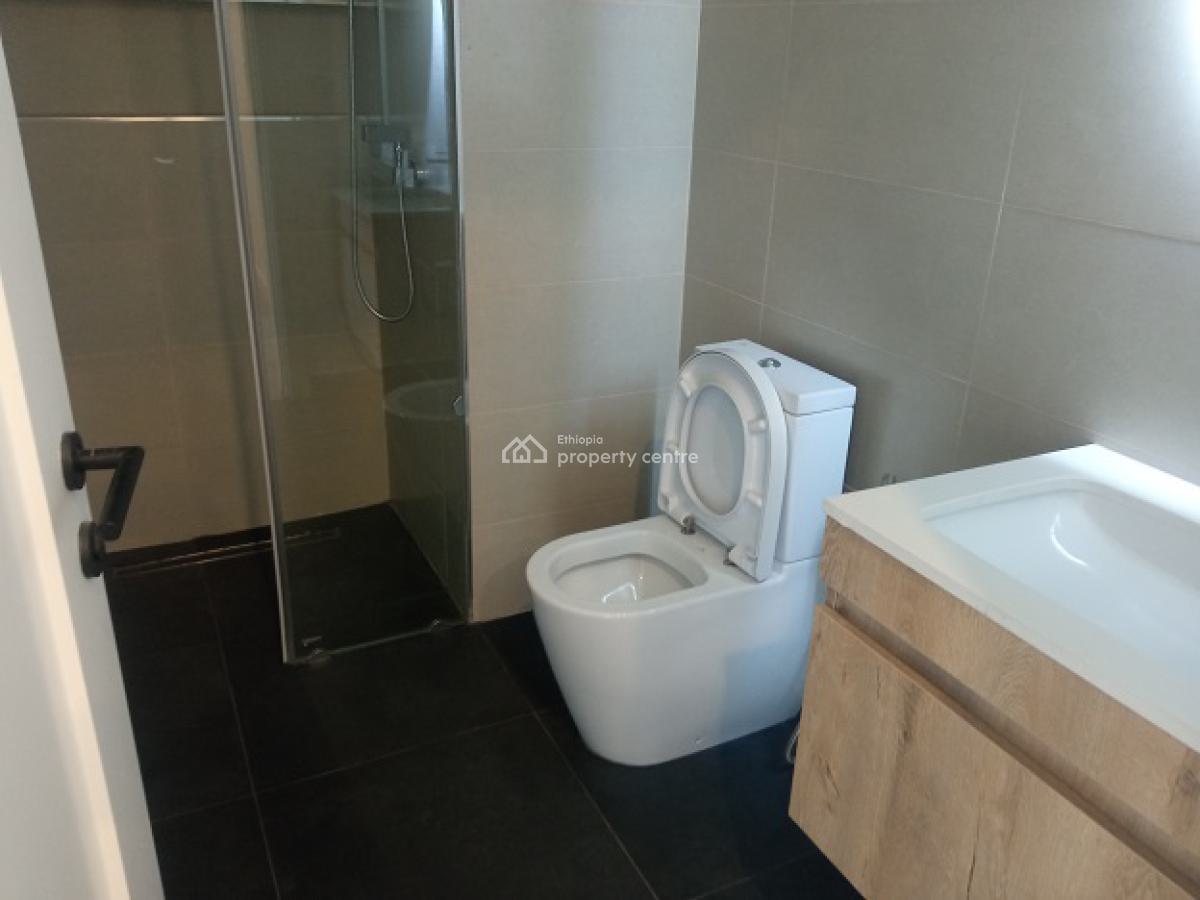 Luxurious and New 3 Bed Room Apartment with a Swimming Pool., Bole, Addis Ababa, Apartment for Rent