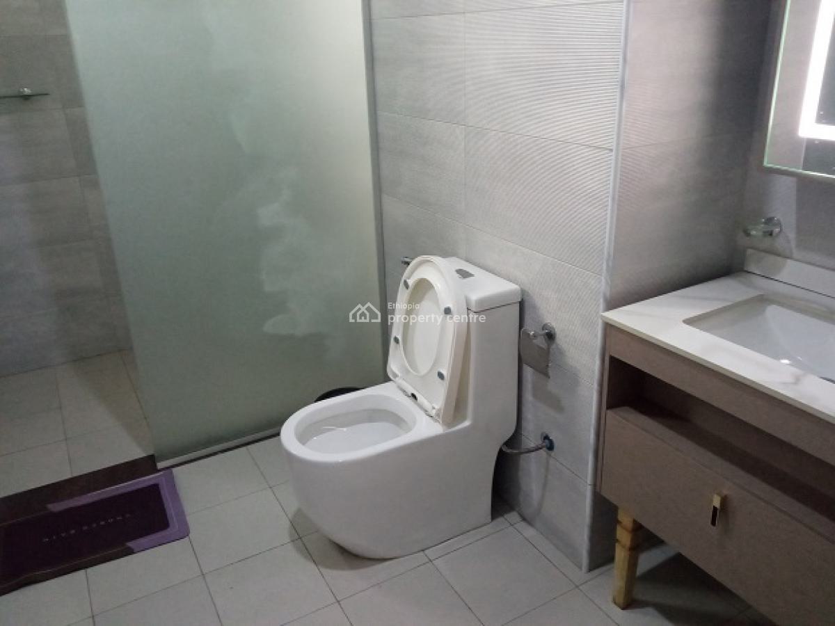 New and Fully Furnished 2 Bd Apartment, Nearby The African Union (au), Nifas Silk-lafto, Addis Ababa, Apartment for Rent