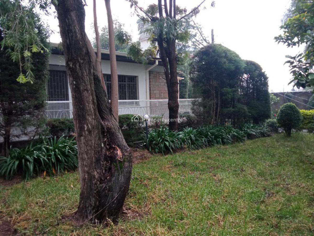 a Beautiful Old House Inscribed in a Big Compound., Nifas Silk-lafto, Addis Ababa, House for Rent