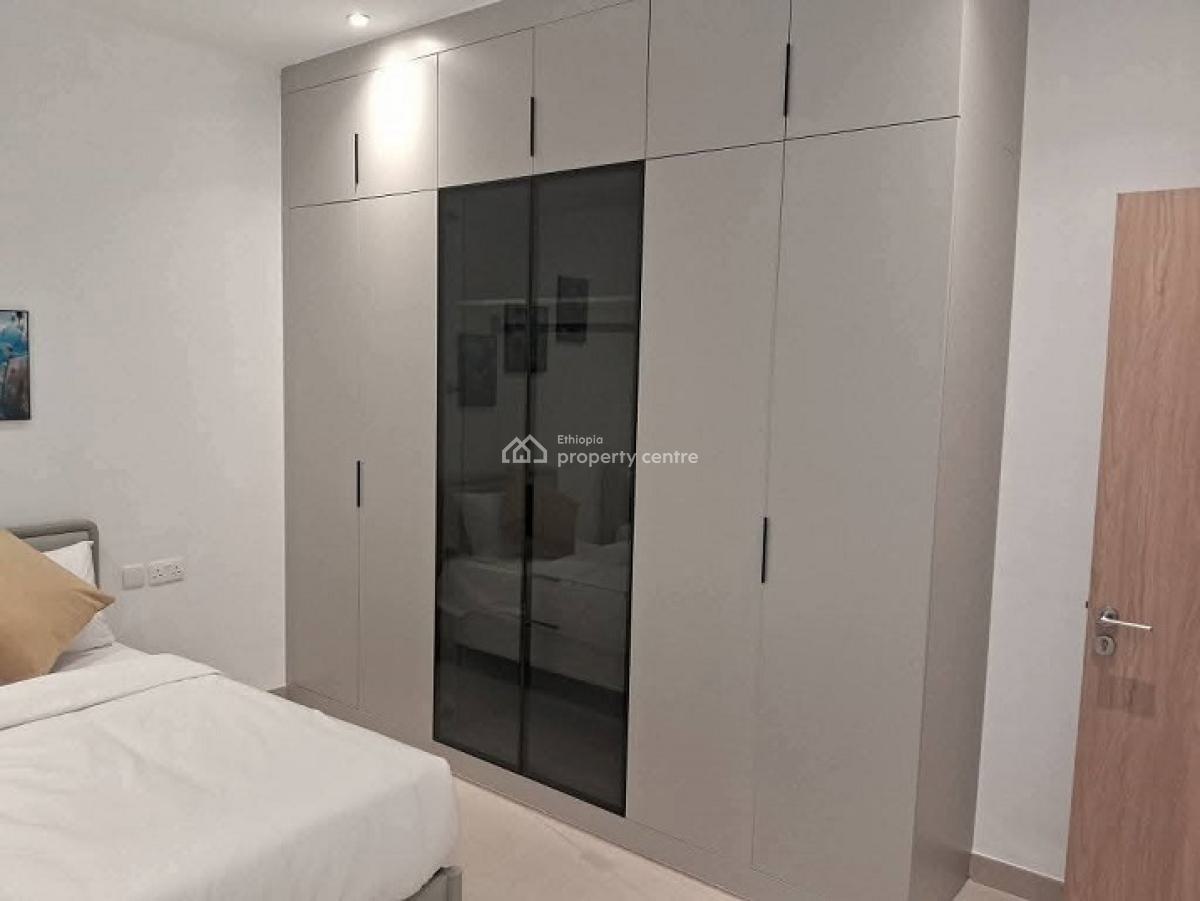 Most Luxurious, High End Apartments with a Swimming Pool, Bole, Addis Ababa, Apartment for Rent