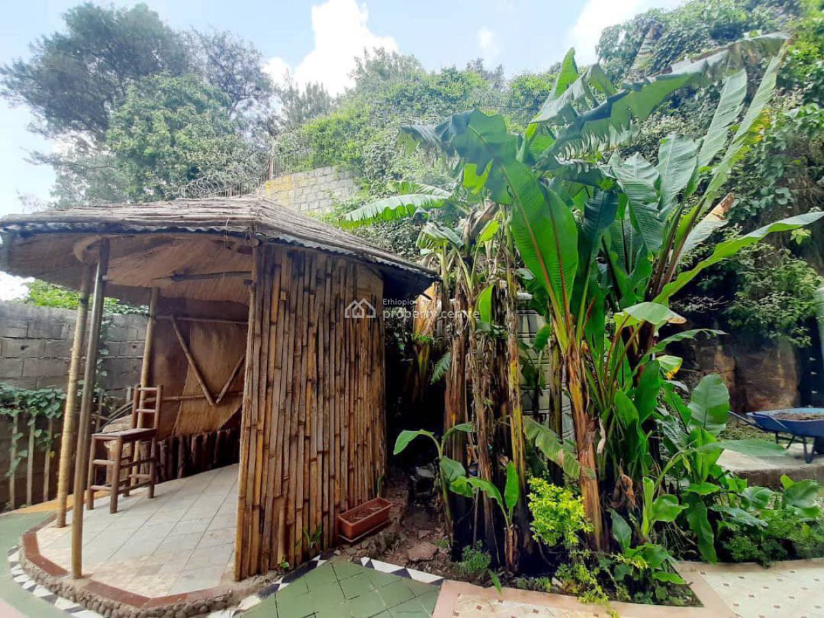 Forest View 3 Bedroom Family Home, Lideta, Bole, Addis Ababa, House for Rent