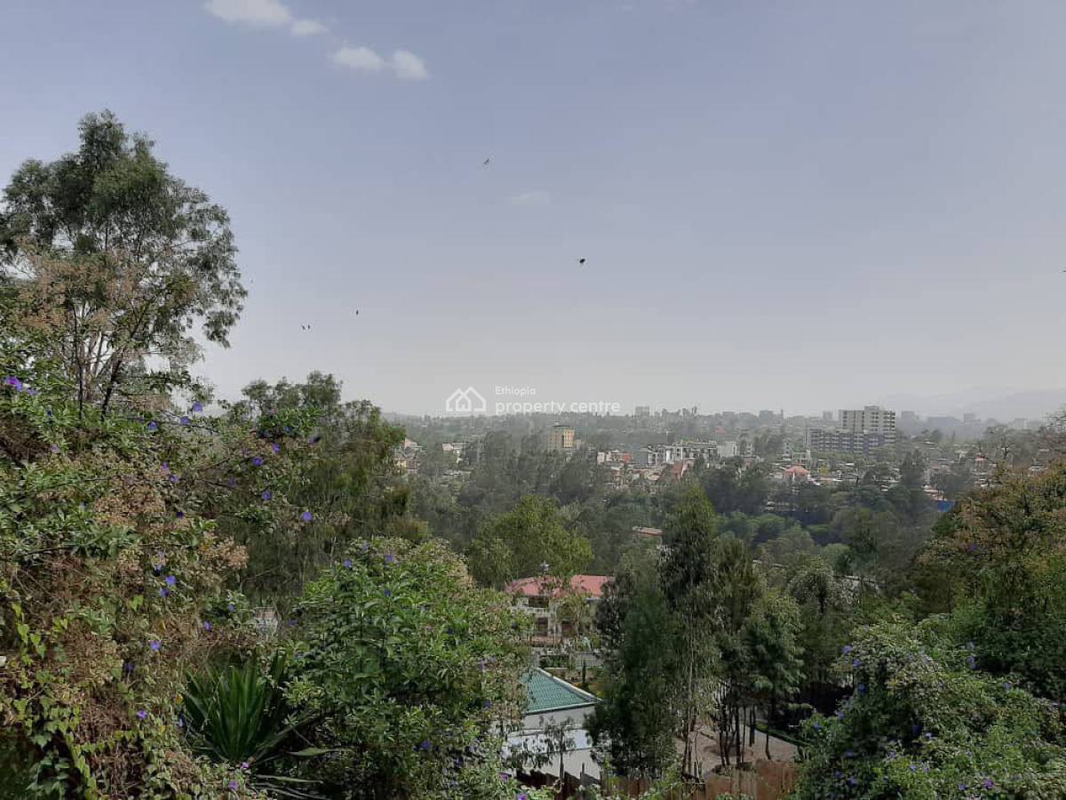 Forest View 3 Bedroom Family Home, Lideta, Bole, Addis Ababa, House for Rent