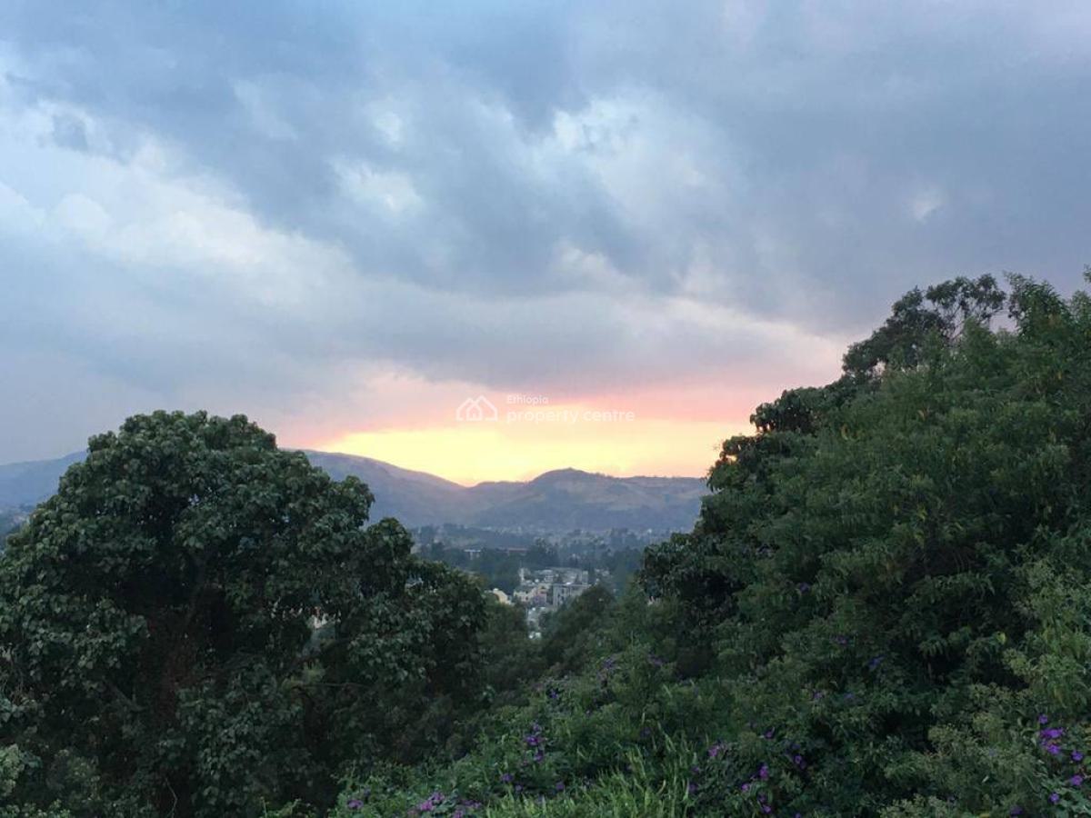 Forest View 3 Bedroom Family Home, Lideta, Bole, Addis Ababa, House for Rent