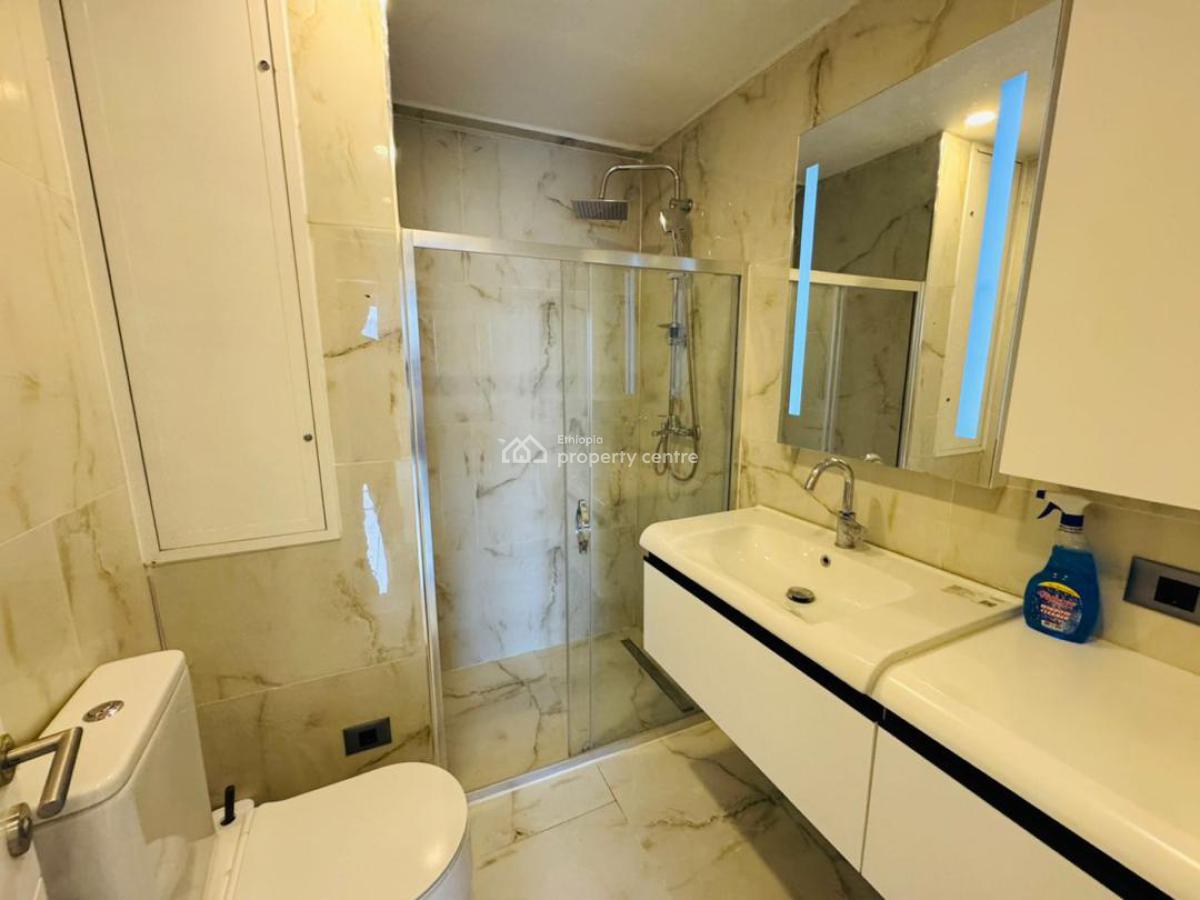 Two Bed Rooms Brand New Flat with Full Furnisher, Bole Olompiya, Bole, Addis Ababa, Self Contained (single Rooms) for Rent