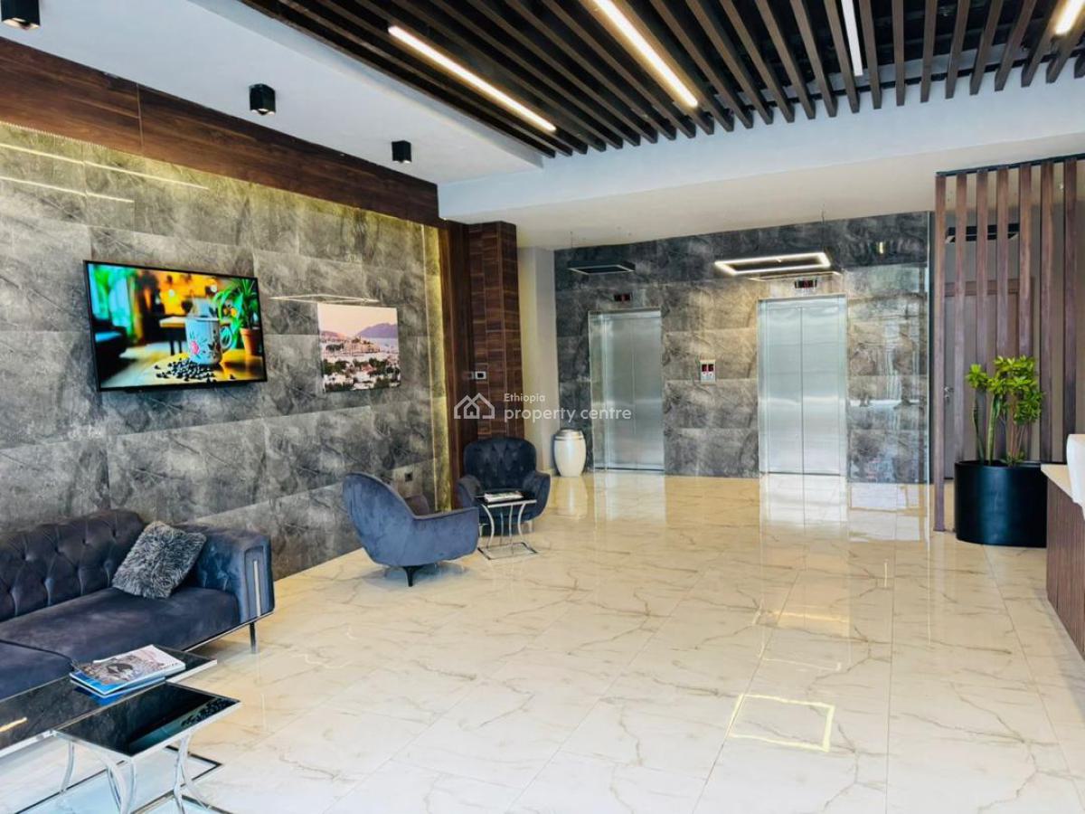 Two Bed Rooms Brand New Flat with Full Furnisher, Bole Olompiya, Bole, Addis Ababa, Self Contained (single Rooms) for Rent