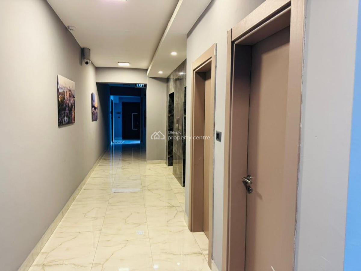 Two Bed Rooms Brand New Flat with Full Furnisher, Bole Olompiya, Bole, Addis Ababa, Self Contained (single Rooms) for Rent