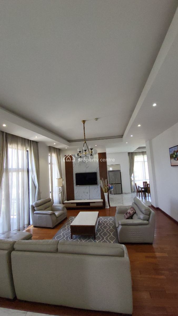 Executive 3-bedroom Penthouse Apartment -- Bole Welo Sefer, Addis Ababa, Bole, Bole, Addis Ababa, Self Contained (single Rooms) for Rent