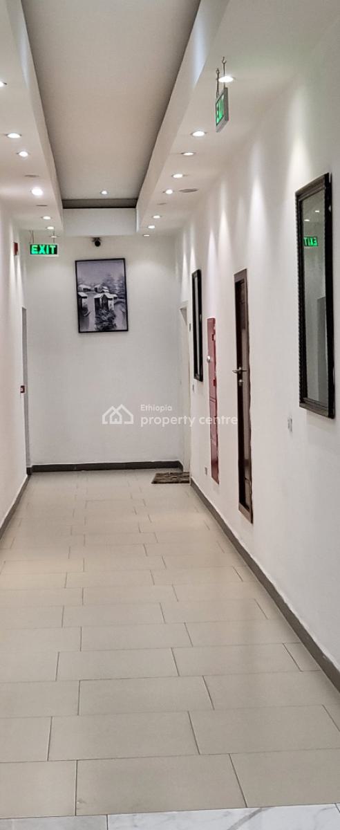 Executive 3-bedroom Penthouse Apartment -- Bole Welo Sefer, Addis Ababa, Bole, Bole, Addis Ababa, Self Contained (single Rooms) for Rent