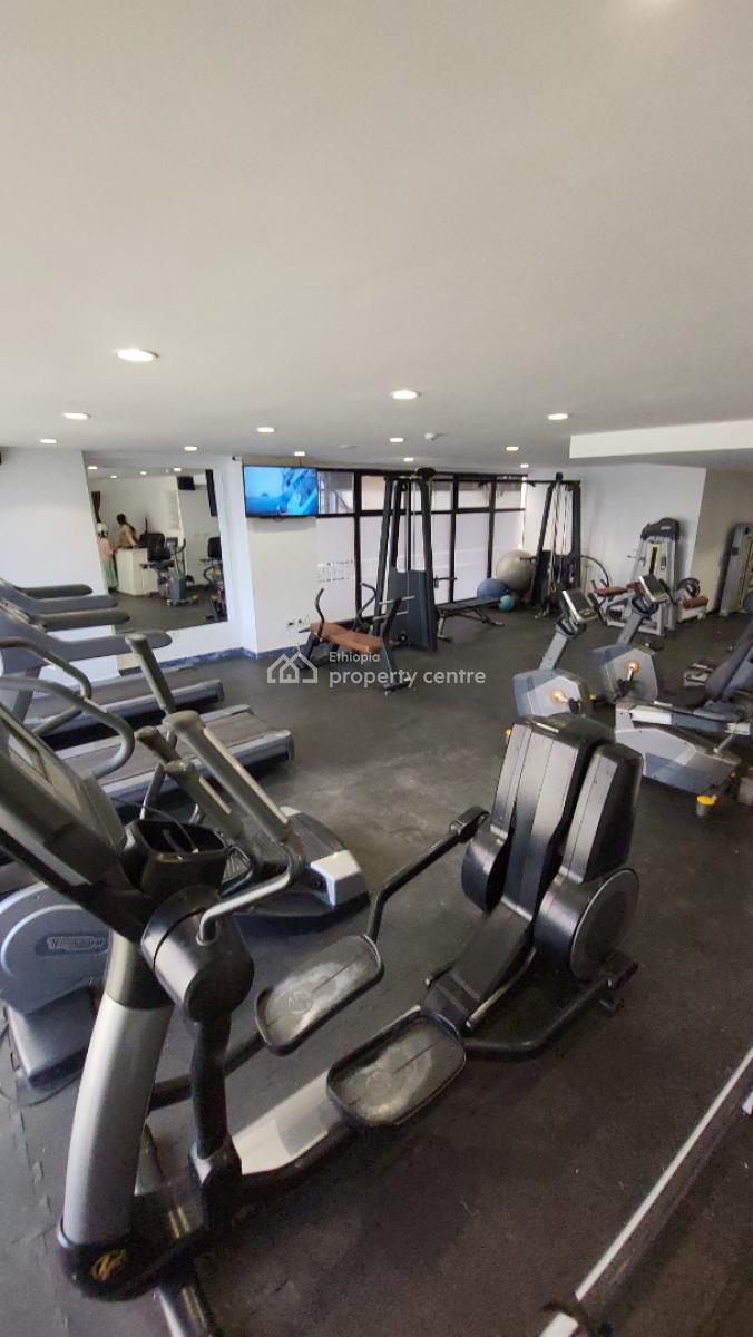 Executive 3-bedroom Penthouse Apartment -- Bole Welo Sefer, Addis Ababa, Bole, Bole, Addis Ababa, Self Contained (single Rooms) for Rent