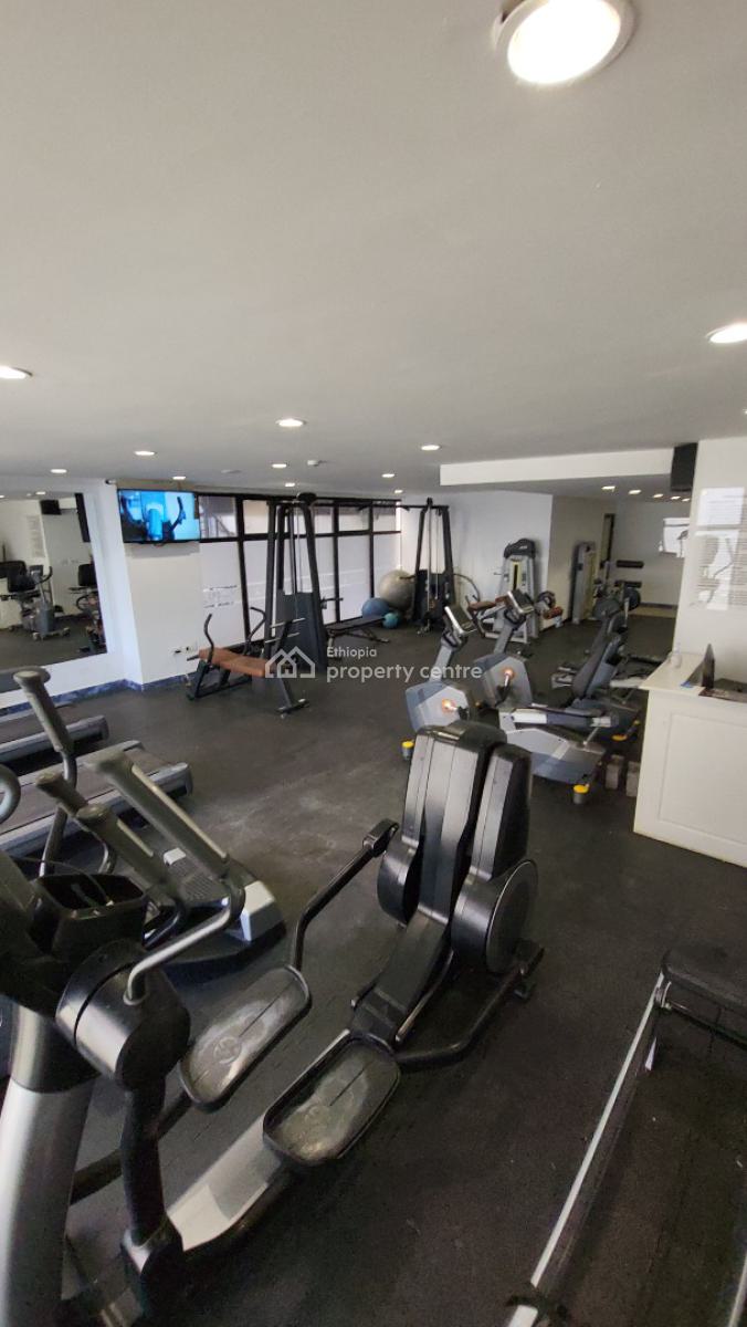 Executive 3-bedroom Penthouse Apartment -- Bole Welo Sefer, Addis Ababa, Bole, Bole, Addis Ababa, Self Contained (single Rooms) for Rent