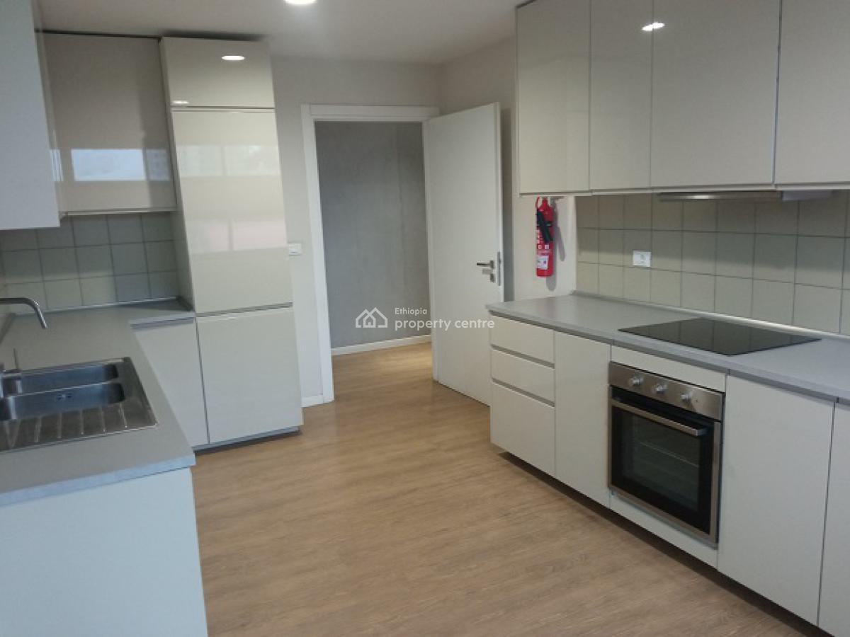 an Exclusive and a Rare Find 3 Bed Room Fully Furnished  Apartment!, Bole, Addis Ababa, Apartment for Rent