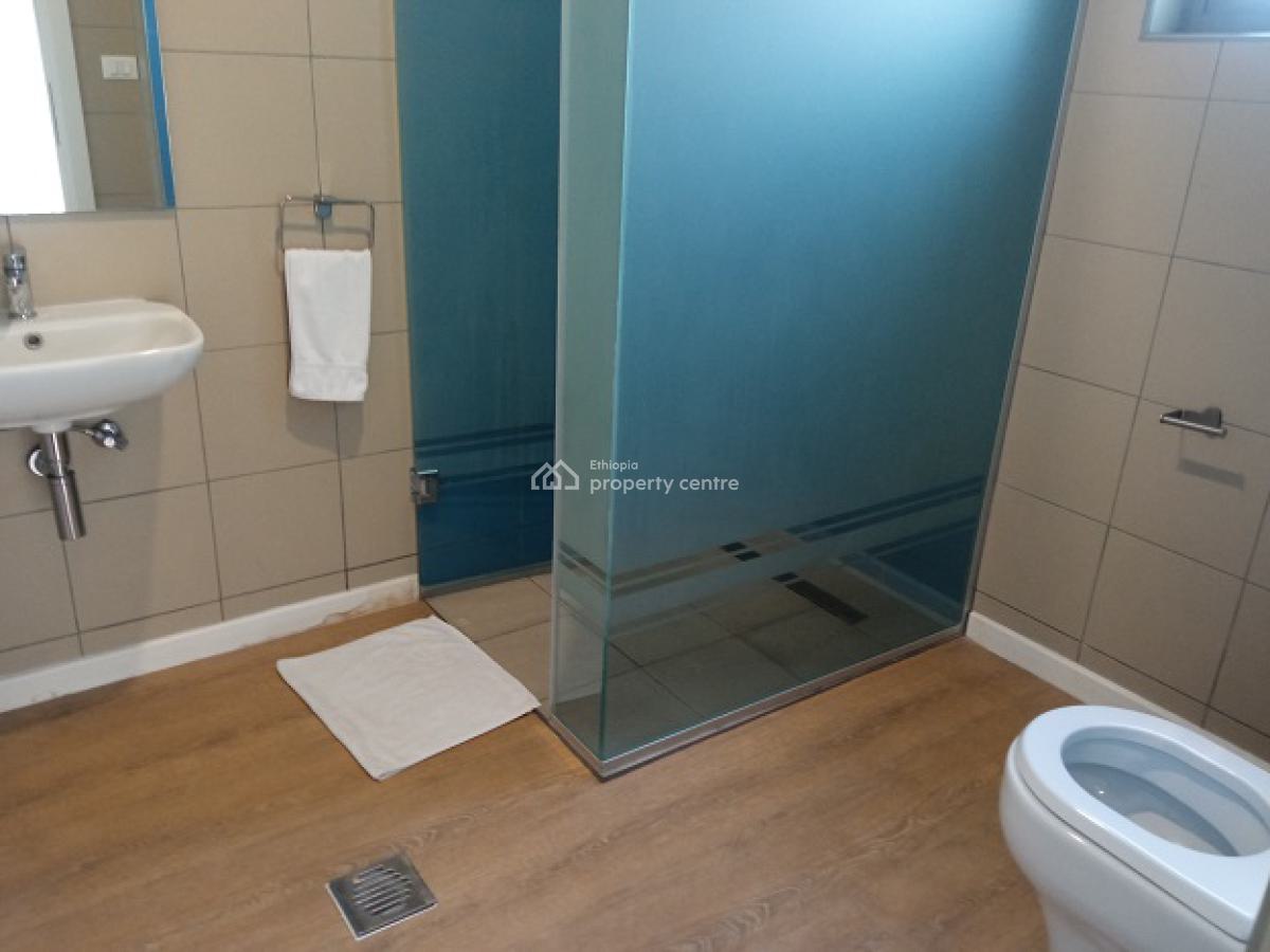 an Exclusive and a Rare Find 3 Bed Room Fully Furnished  Apartment!, Bole, Addis Ababa, Apartment for Rent