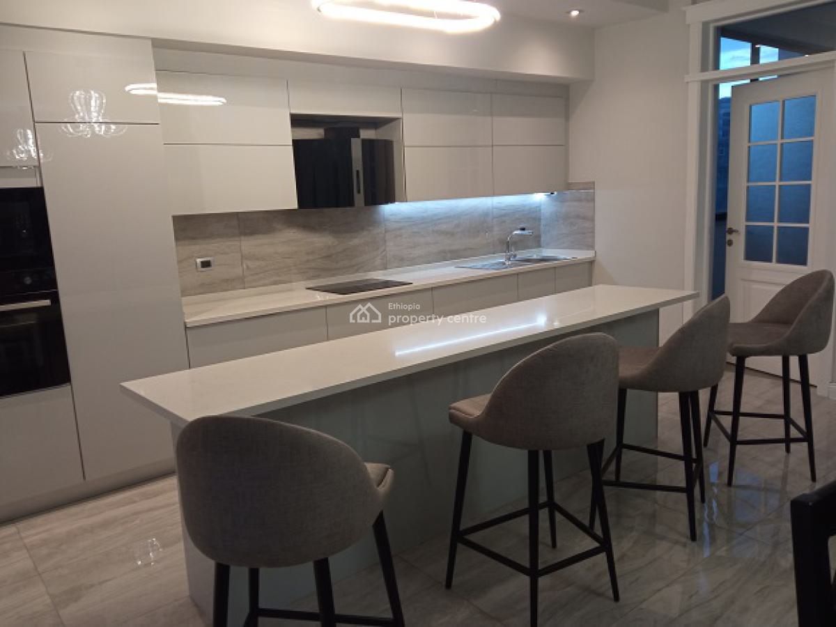 Very Bright, New, High Quality and Fully Furnished 3bd Apartment!, Bole, Addis Ababa, Apartment for Rent